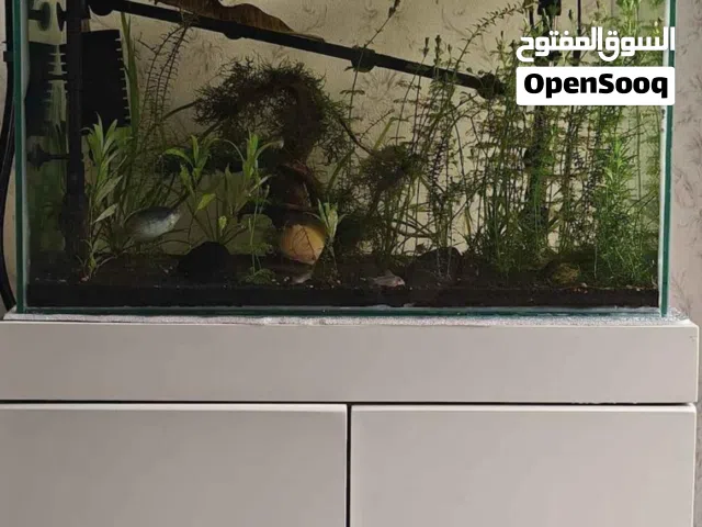 للبيع: حوض أسماك احترافي ومتكامل بتصميم عصري