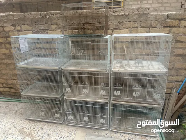 للبيع أقفاص عدد 10