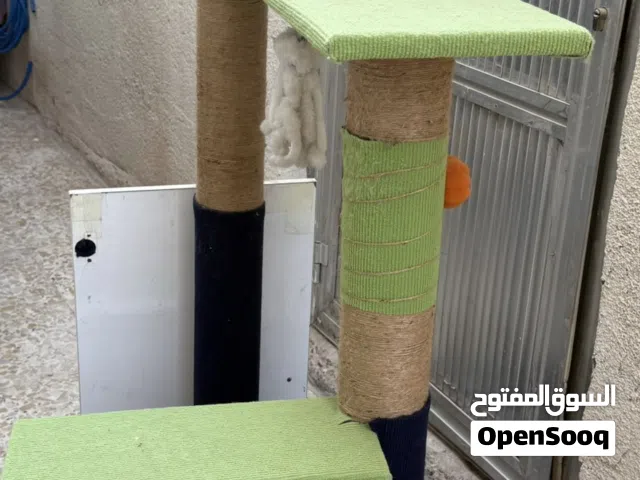 لعبة قطط وكلاب