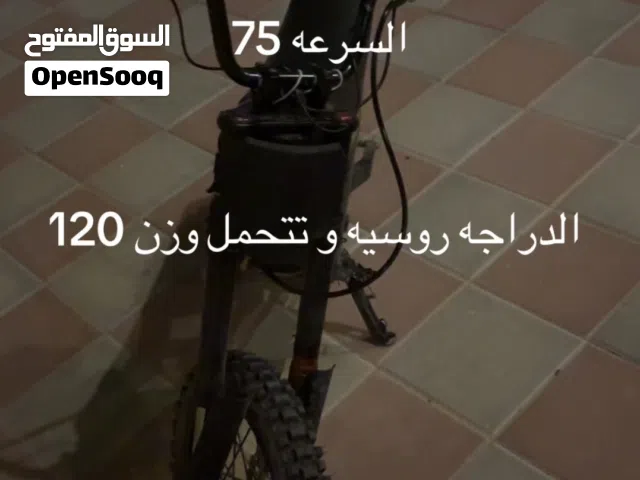 2024 Other Other