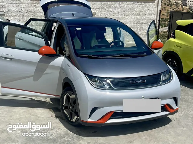 Used BYD Dolphin in Amman