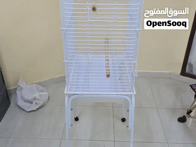 Birds Cage