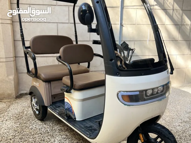 دراجة ثلاث عجلات (مقعدين+حمل)