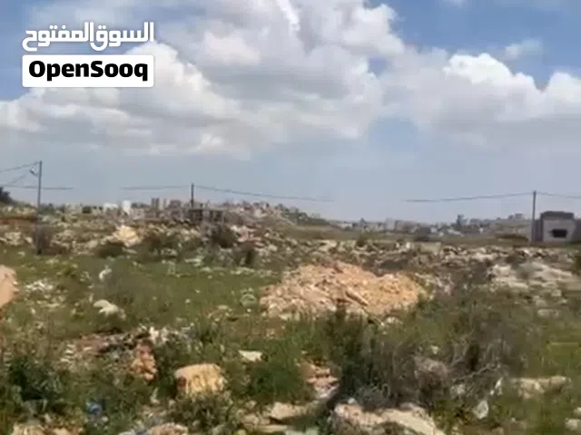 قطعه ارض في سرده مساحه 500 م صالحه للبناء واصل كل الخدمات السعر 170 الف دولار