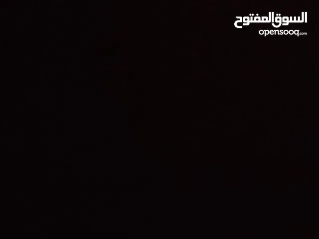 موجود كلب هاسكي عمرو تقرببن 11 شهر لعوب واليف موجود بزرقا