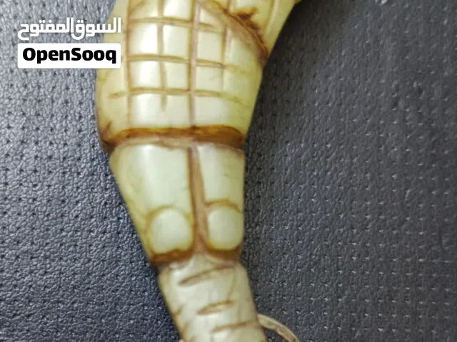 حجر  طبيعي على  شكل تمساح