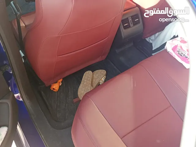 اكورد خليجى