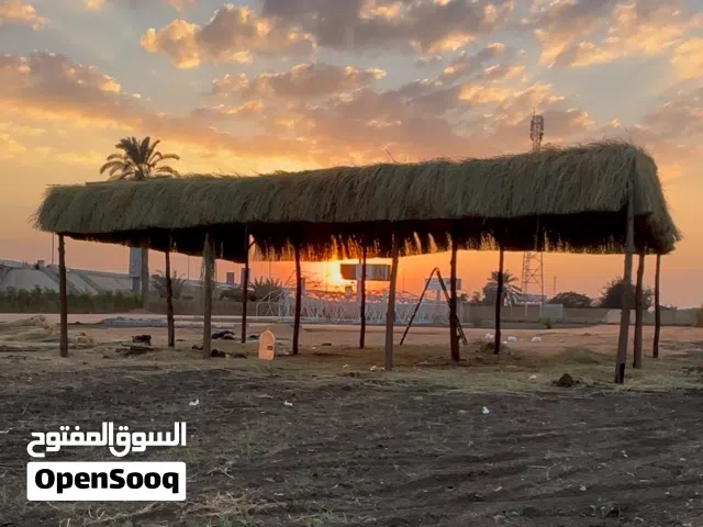 برجولات طبيعية