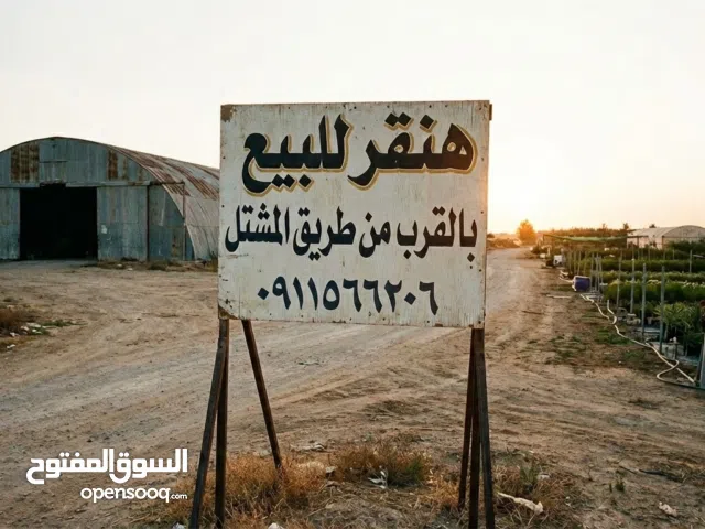 موقع لا يتكرر: هنقر للبيع تجاري 500 م2 على الطريق مباشرة بالقرب من طريق المشتل