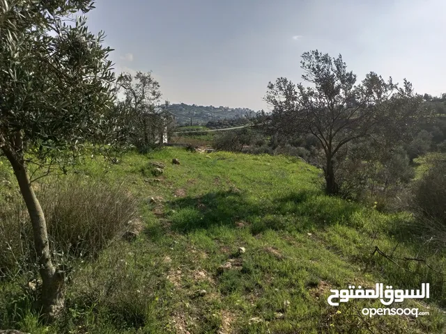 Industrial Land for Sale in Hebron Dura