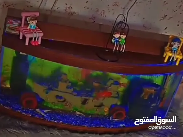 حوض سمك الحجم 75