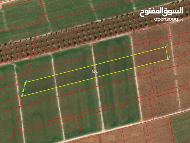 Farm Land for Sale in Irbid Huwwarah