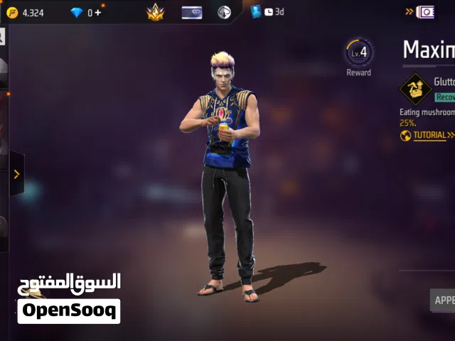 Free Fire Accounts and Characters for Sale in Cairo