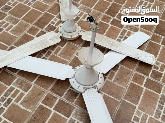 مراوح سقف شغالات