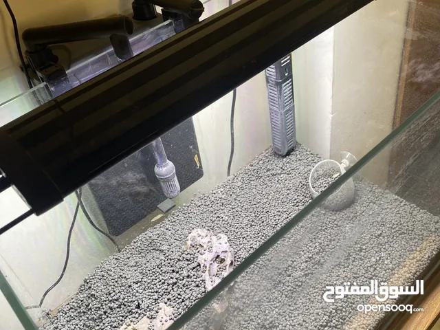 حوض سمك نباتي فارغ للبيع
