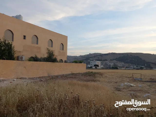 ارض للبيع في منطقة ام الدنانير/ REF: 002