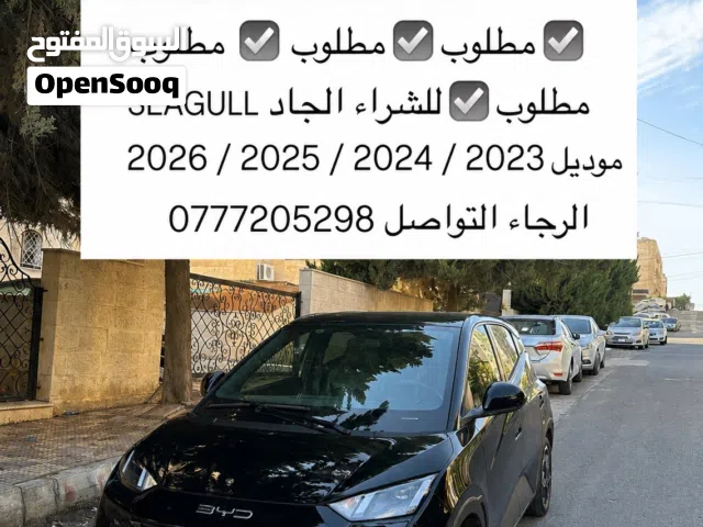 2024 بي واي دي سيجول