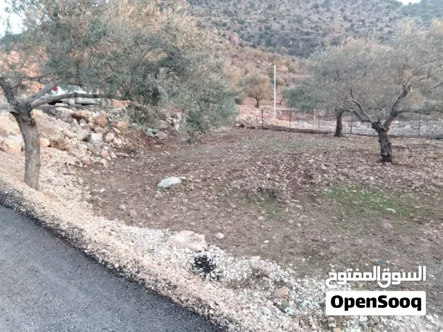 Mixed Use Land for Sale in Ajloun Kuforanja