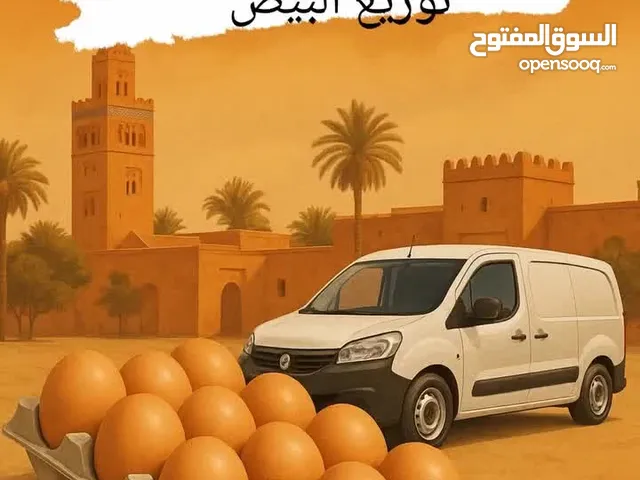 توزيع البيض ثمن مناسب مرحبا بيكم عن حميد