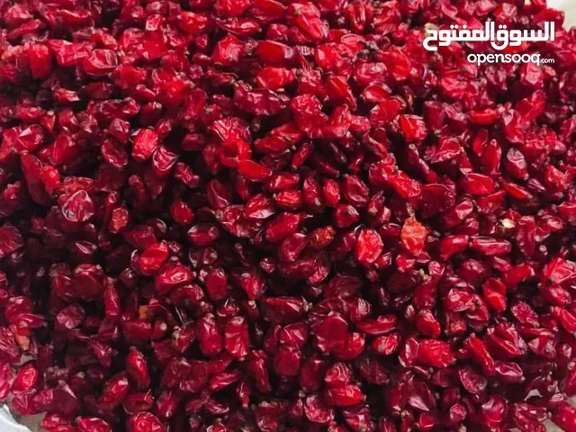 البربري الإيراني
