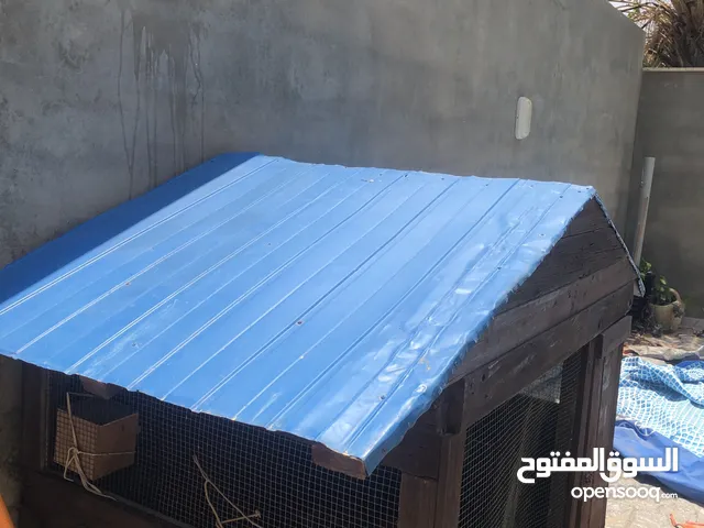 سلام عليكم ورحمة الله وباركاته