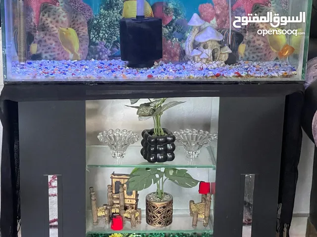 حوض سمك مع طاوله قزاز معاه ضوء ودفاي