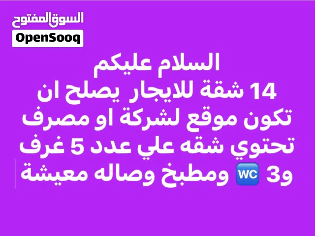 14 شقه للايجار لشركة او مصرف او فندق ايجار يومي