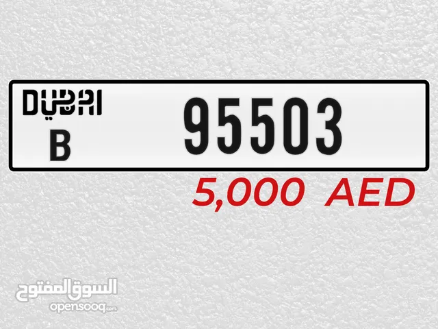 95503 DXB Code B