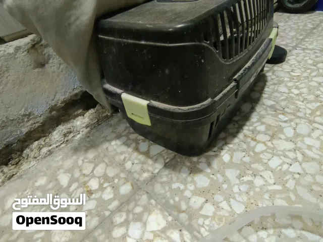 قط شيرازي نقي