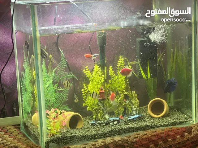 حوض سمك استعمال شهرين فقط