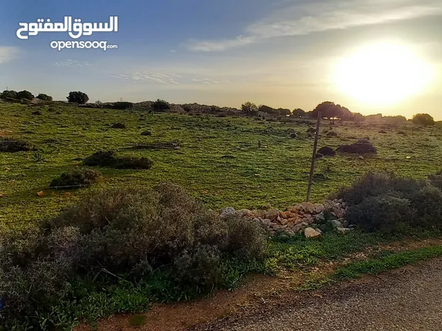 Mixed Use Land for Sale in Jebel Akhdar Other