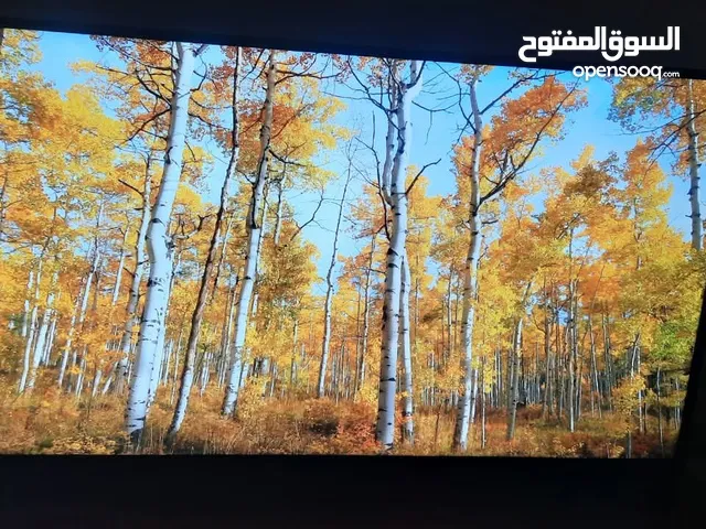 Others OLED 75 Inch TV in Baghdad