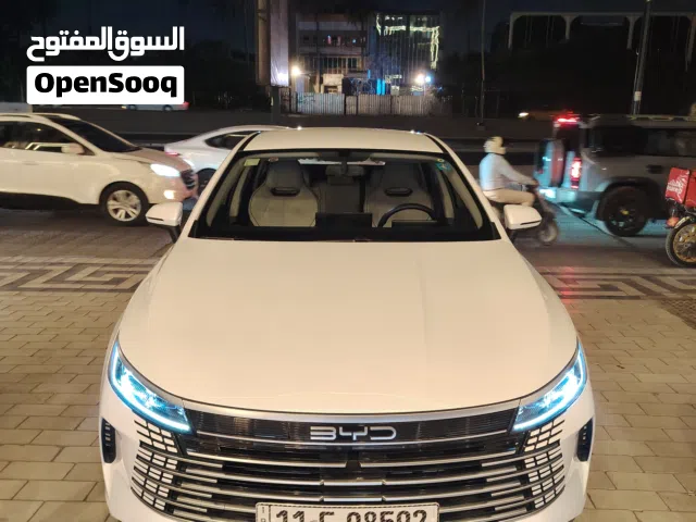 2025 بي واي دي ديستروير
