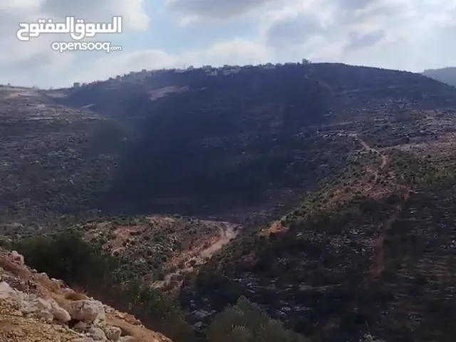 Mixed Use Land for Sale in Ramallah and Al-Bireh Rawabi