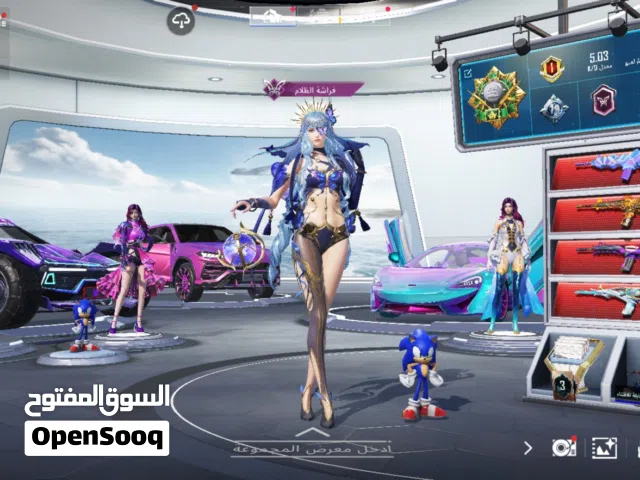 Pubg Accounts and Characters for Sale in Ajman