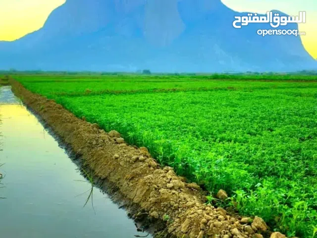 90 m2 2 Bedrooms Apartments for Sale in Al Jahra Qasr