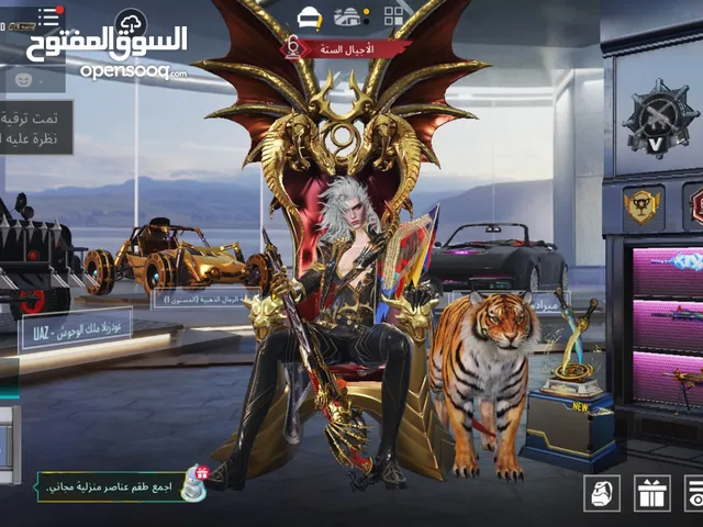 Pubg Accounts and Characters for Sale in Dubai