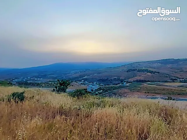 More than 6 bedrooms Farms for Sale in Jerash Unaybah