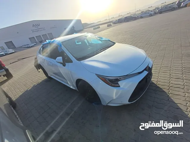 كورولا 2024