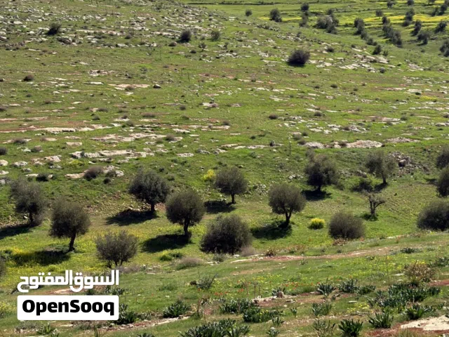 Farm Land for Sale in Jerash Dahl