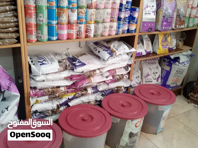 بكج كامل للملك القطط حمام قص تنضيف اذن تعطير +مطاعيم وحبه الدود