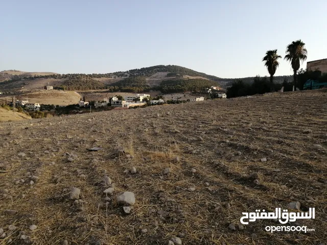 شارع الأردن اراضي شمال عمان السليحي نقدا او بالاقساط