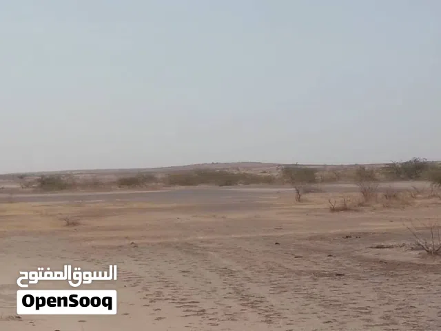 عرض حقيقي للناس الجادة بس