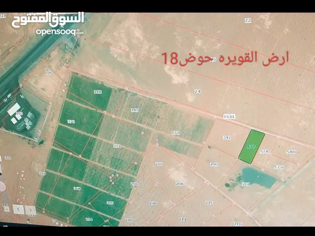 أراض للبيع القويره/العقبه /الحسينية/الشوبك