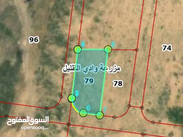 Farm Land for Sale in Zarqa Dhlail