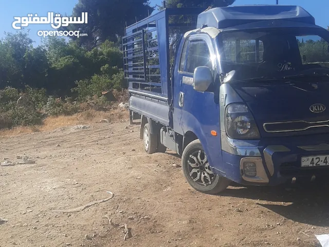 بنقو بنجو 2013