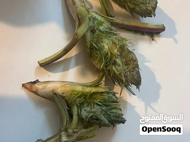 قطف جبلي عكوب . مع خدمة توصيل