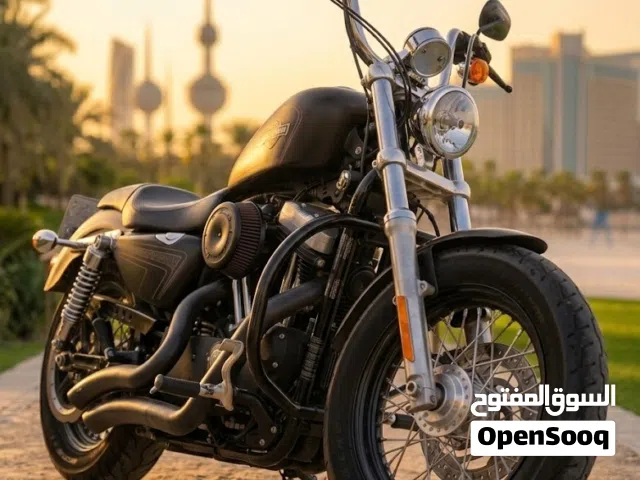 2015 هارلي ديفيدسون 1200 Custom