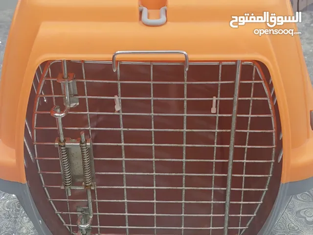 بوكس نقل قطط