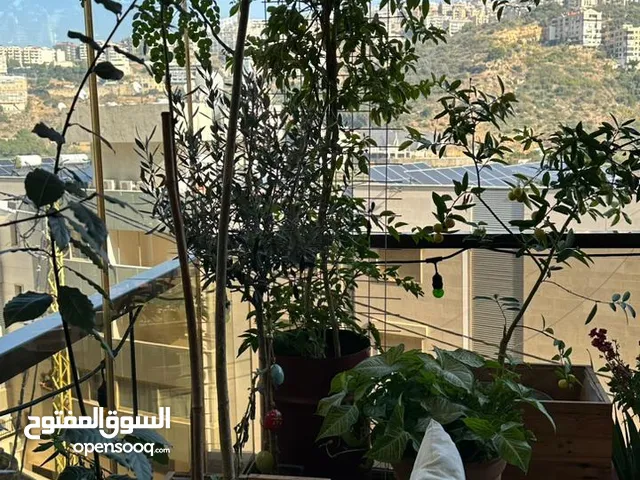 شقة للبيع _ مميّزة بتقسيمها وموقعها المُطلّ